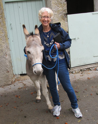 •	Friendly Donkey where we alt saw Sheepdogs at work!