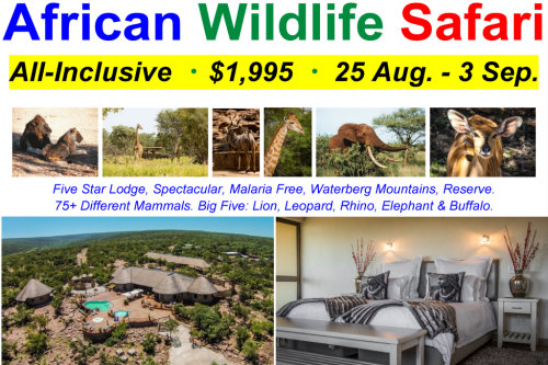 South Africa Wildlife Safari - All-Inclusive - 25 Aug. - 3 Sep. 2022 - $1,995