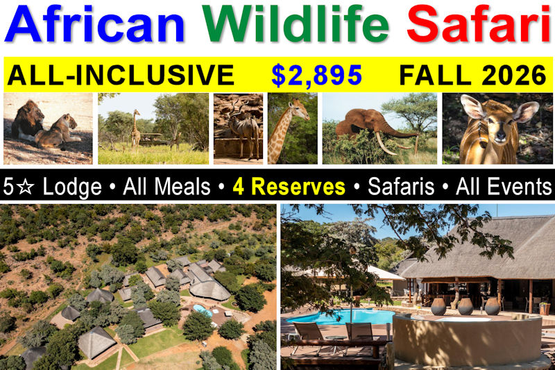 Africa Wildlife Safari - All-Inclusive - 22-Sep. 1-Oct. 2026
All-Inclusive: Lodging, Meals, Events, Big-5 Safaris & more INCLUDED!
8+ Wildlife Drives • Night Safaris • Campfire Dinners • Four Wildlife Reserves • Tribal Night • Bush Walks/Hikes • Events & more!
Malaria Free, Private Waterberg Mountains Reserve.