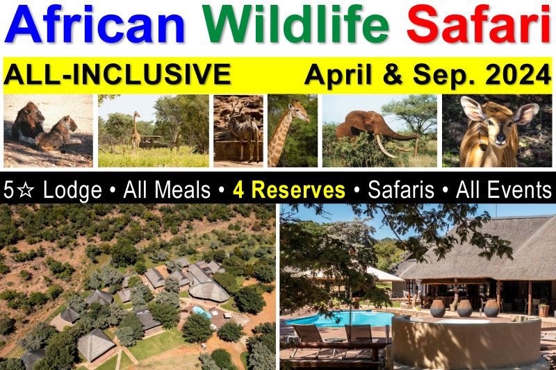 Africa Wildlife Safari - All-Inclusive - April & Sep. 2024
All-Inclusive: Lodging, Meals, Events, Big-5 Safaris & more INCLUDED!
8+ Wildlife Drives • Night Safaris • Campfire Dinners • Four Wildlife Reserves • Tribal Night • Bush Walks/Hikes • Events & more!
Malaria Free, Private Waterberg Mountains Reserve.